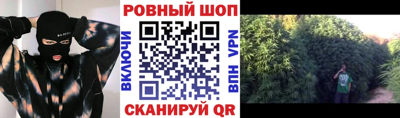 Магазины продажи наркотиков Новокубанск Метадон  Каннабис  Cocaine 