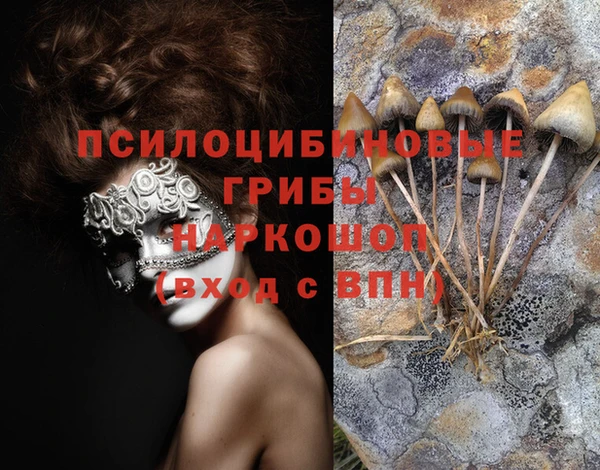 СК Богданович