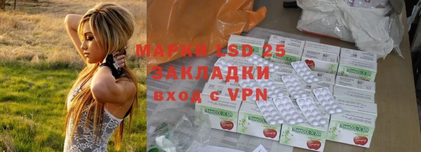 бошки Богородицк