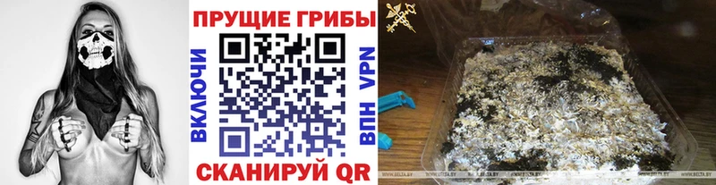 как найти закладки  Новокубанск  Псилоцибиновые грибы прущие грибы 
