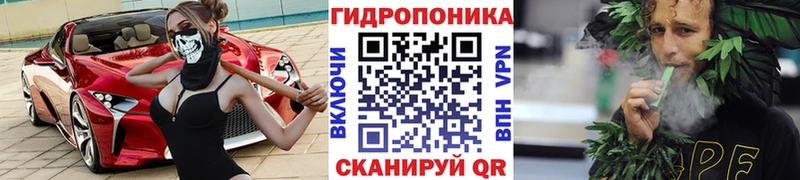 Шишки марихуана Amnesia  omg вход  Новокубанск 